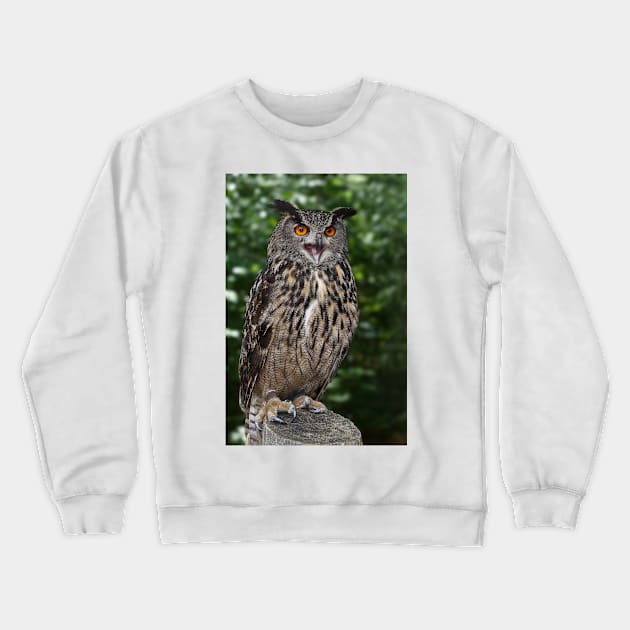 Eurasian Eagle-Owl Crewneck Sweatshirt by Jim Cumming